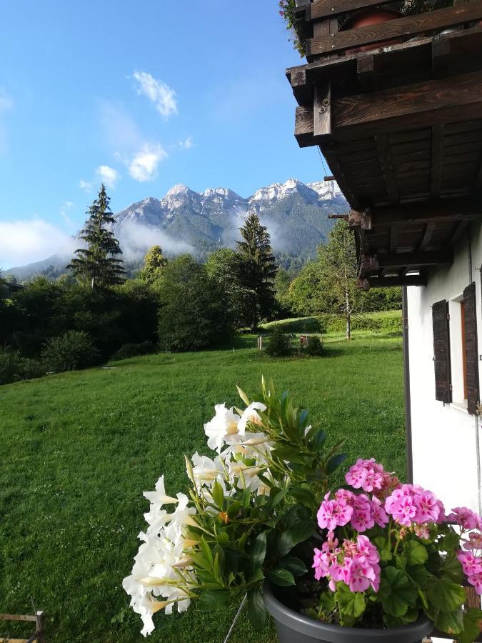 B&B Il Crogiolo Bosentino 外观 照片